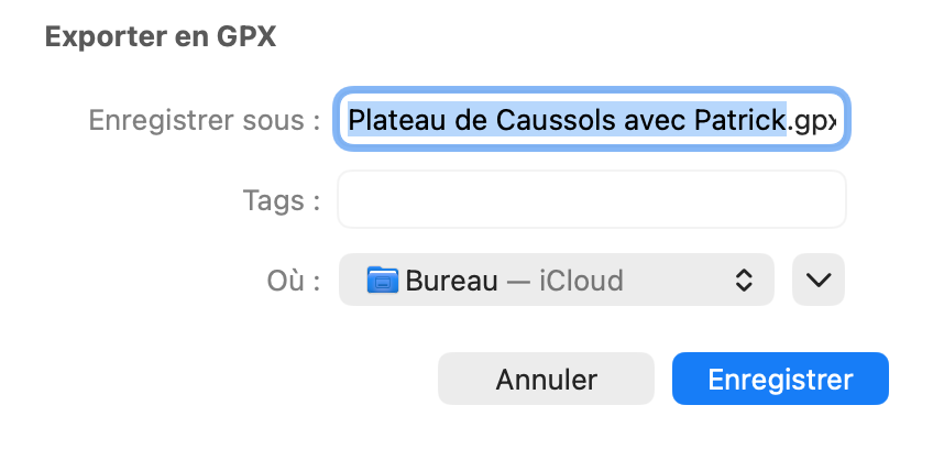 Fenêtre d'enregistrement « Exporter en GPX »